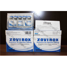 Acyclovir zur Injektion